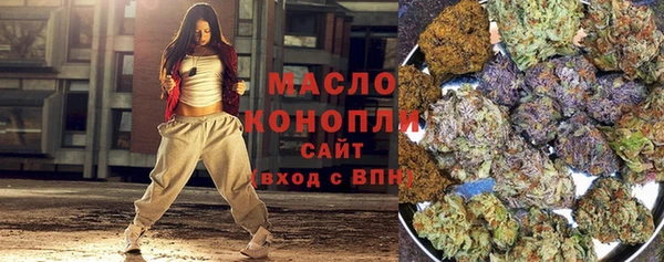 тгк Абаза