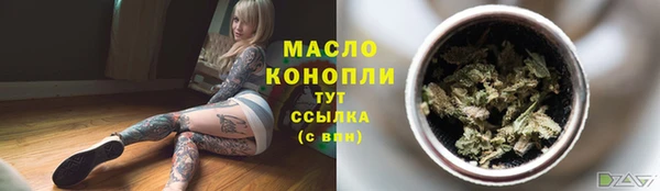 тгк Абаза