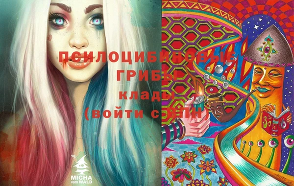 2c-b Абинск