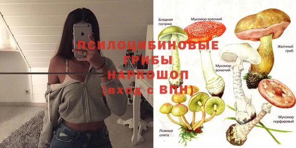 тгк Абаза