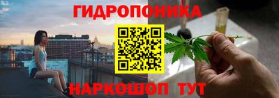 трава Кандалакша