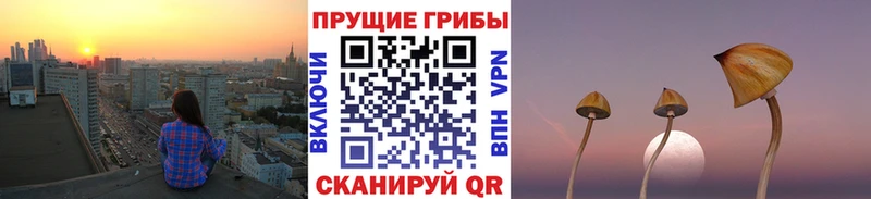 где купить   Курчатов  Галлюциногенные грибы ЛСД 