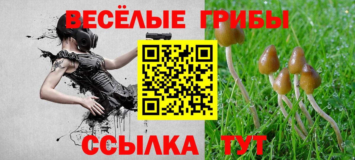Галлюциногенные грибы MAGIC MUSHROOMS Курчатов
