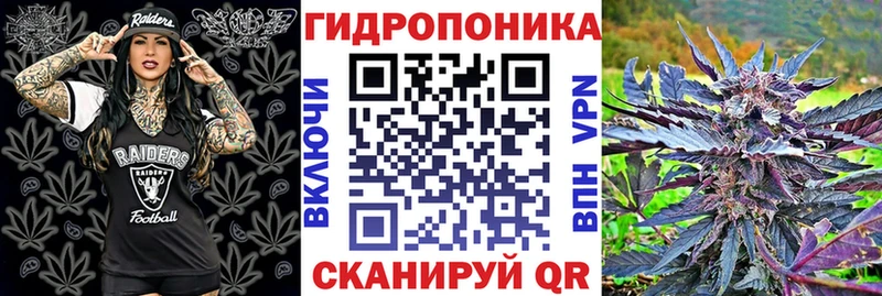 Марихуана план Курчатов